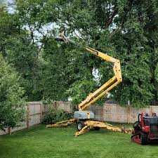 Lawn Watering Services in Palmer Lake, CO